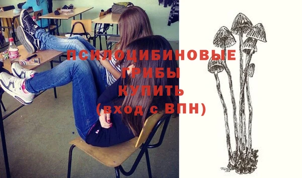 бошки Краснотурьинск