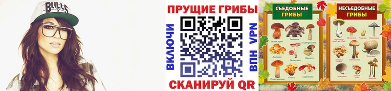 Псилоцибиновые грибы Psilocybine cubensis  Купить  Алатырь 